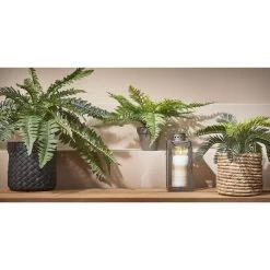 Bellatio Flowers & Plants Kunstplant - Cycaspalm - In Pot - 33 Cm -Home Decoration Store 1000003429 0103