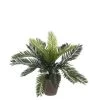 Bellatio Flowers & Plants Kunstplant - Cycaspalm - In Pot - 33 Cm