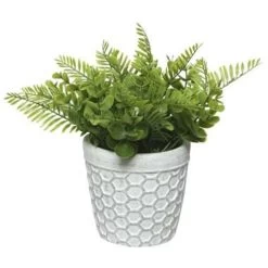 Decoris Kunstplant - Varen - In Witte Pot - 25 Cm