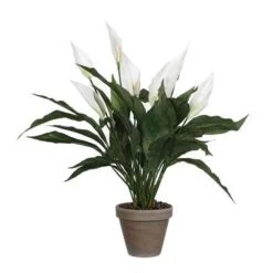 Mica Decorations Kunstplant - Spathiphyllum Lepelplant - Wit - 50 Cm