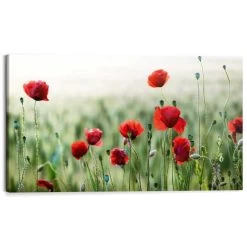 Schilderij Wilde Klaprozen 70x118 Cm Groen