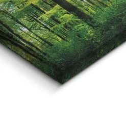 Schilderij Zomer Bos 40x118 Cm Groen -Home Decoration Store 1000006580 0103