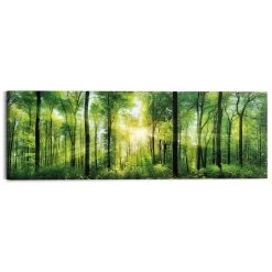 Schilderij Zomer Bos 40x118 Cm Groen