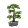 Emerald Bellatio Flowers & Plants Kunstplant - Bonsai Boom - 43 Cm