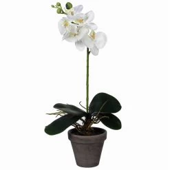 Mica Decorations Kunstplant - Phalaenopsis Orchidee - Wit - 48 Cm