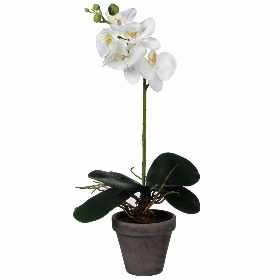 Mica Decorations Kunstplant - Phalaenopsis Orchidee - Wit - 48 Cm 1 Mica Decorations Kunstplant - Phalaenopsis Orchidee - Wit - 48 Cm