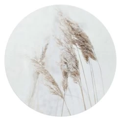 Glasschilderij Pampasgrassen Ø 70 Cm Wit
