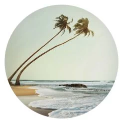 Glasschilderij Wuivende Palmen Ø 70 Cm Groen