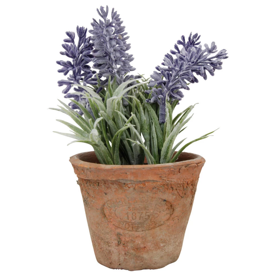 True To Nature Kunstplant - Lavendel - In Terracotta Pot - 15 Cm 1 True To Nature Kunstplant - Lavendel - In Terracotta Pot - 15 Cm