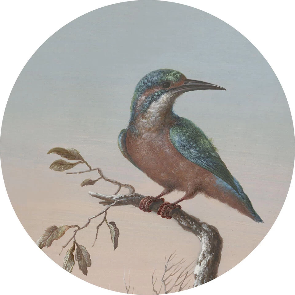 ESTAhome Zelfklevende Behangcirkel - Ijsvogel Op Tak - Avondrood - Ø 140 Cm 1 ESTAhome Zelfklevende Behangcirkel - Ijsvogel Op Tak - Avondrood - Ø 140 Cm