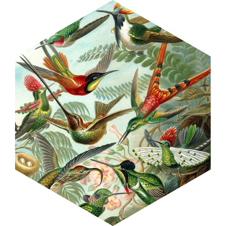 ESTAhome Muursticker - Vogels - Tropisch Junglegroen - 140 X 161 Cm - 159023 1 ESTAhome Muursticker - Vogels - Tropisch Junglegroen - 140 X 161 Cm - 159023