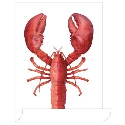 ESTAhome Muursticker - Kreeft - Rood - 70 X 46,5 Cm - 159045 -Home Decoration Store 1000018130 0103