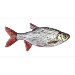 ESTAhome Muursticker - Vis - Grijs En Rood - 97 X 48,5 Cm - 159039