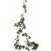 Merkloos Bellatio Flowers & Plants Kunstplant - Hedera Klimop - 205 Cm