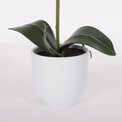 Mica Decorations Phalaenopsis Kunstplant - H60 X Ø16 Cm - Paars -Home Decoration Store 1000032276 0110