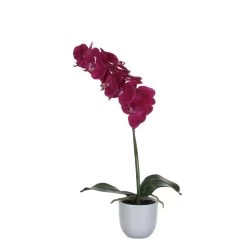 Mica Decorations Phalaenopsis Kunstplant - H60 X Ø16 Cm - Paars