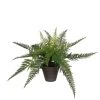 Mica Decorations Varen Kunstplant - H38 X Ø50 Cm - Groen