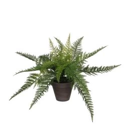 Mica Decorations Varen Kunstplant - H38 X Ø50 Cm - Groen