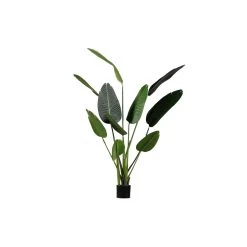 WOOOD Strelitzia Kunstplant - Groen - 96x164x63