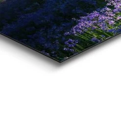 Schilderij Voorjaar In Het Bos 52x156 Cm Paars 7 Schilderij Voorjaar In Het Bos 52x156 Cm Paars -Home Decoration Store 1000033801 0103