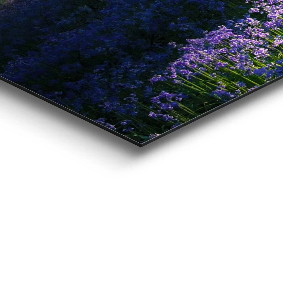 Schilderij Voorjaar In Het Bos 52x156 Cm Paars 4 Schilderij Voorjaar In Het Bos 52x156 Cm Paars - Afbeelding 4