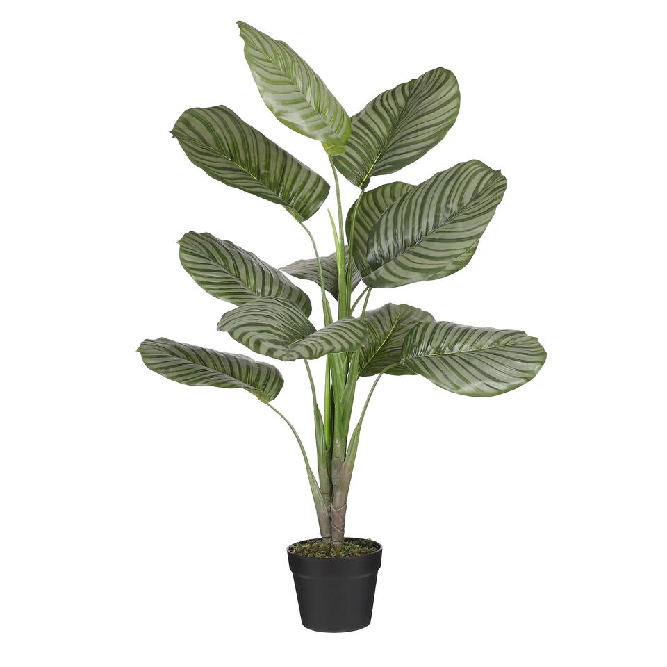 Mica Decorations Calathea Orbifolia Kunstplant - H90 X Ø60 Cm - Groen 1 Mica Decorations Calathea Orbifolia Kunstplant - H90 X Ø60 Cm - Groen