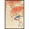 Walljar - Ohara Koson - Great Tit On Paulownia Branch - Poster Met Lijst / 50 X