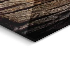 Plexiglasschilderij Rustende Leeuwin 80x120 Cm Bruin -Home Decoration Store 1000037838 0103