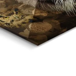 Plexiglasschilderij Tijger 100x140 Cm Bruin -Home Decoration Store 1000038178 0103