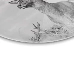Plexiglasschilderij Trots Hert Ø 50 Cm Zwart-Wit -Home Decoration Store 1000038190 0103