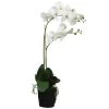 Merkloos Bellatio Flowers & Plants Kunstplant - Orchidee - Wit - 62 Cm