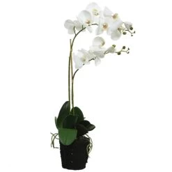 Merkloos Bellatio Flowers & Plants Kunstplant - Orchidee - Wit - 62 Cm