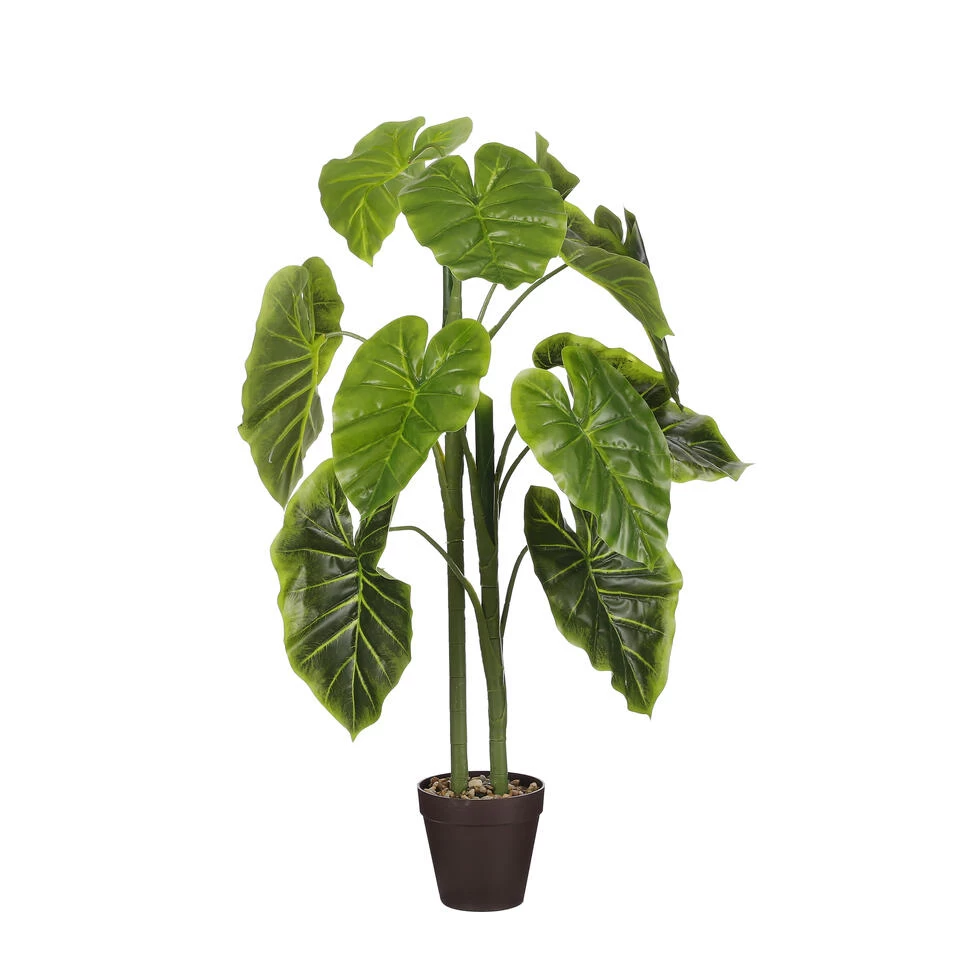 Mica Decorations Alocasia Kunstplant - H100 X Ø50 Cm - Groen 2 Mica Decorations Alocasia Kunstplant - H100 X Ø50 Cm - Groen - Afbeelding 2