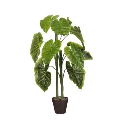 Mica Decorations Alocasia Kunstplant - H100 X Ø50 Cm - Groen