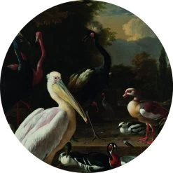 Art For The Home - Wandcirkel - Rijksmuseum Vogels - 70 Dm In Cm