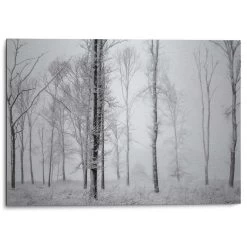 Alu-Dibond Winters Bos 50x70 Cm Wit