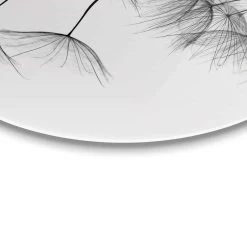Plexiglasschilderij Paardenbloem Ø 70 Cm Zwart-Wit -Home Decoration Store 1000047153 0103