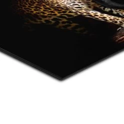 Alu-Dibond Roofdieren 100x140 Cm Zwart -Home Decoration Store 1000047172 0103