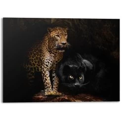 Alu-Dibond Roofdieren 100x140 Cm Zwart