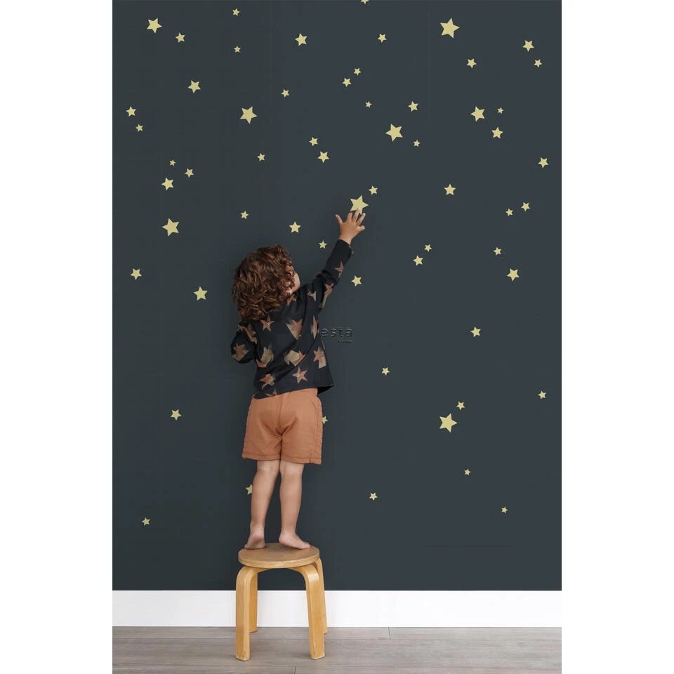 ESTAhome Muursticker - Sterrenhemel - Geel - 33 Cm X 47,5 Cm - 156120 2 ESTAhome Muursticker - Sterrenhemel - Geel - 33 Cm X 47,5 Cm - 156120 - Afbeelding 2