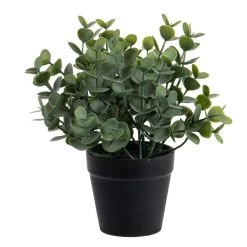 Louis Maes Eucalyptus Kunstplant - In Pot - Groen - H20 Cm