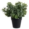 Louis Maes Eucalyptus Kunstplant - In Pot - Groen - H28 Cm