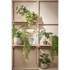 Mica Decorations Ficus Kunst Hangplant - H81 Cm - Groen -Home Decoration Store 1000076935 0102