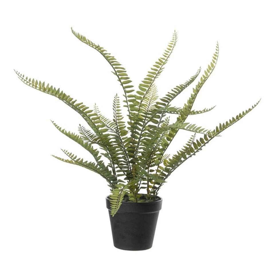 Louis Maes Kunstplant - Varen Nephrolepis - Groen - 50 Cm 1 Louis Maes Kunstplant - Varen Nephrolepis - Groen - 50 Cm