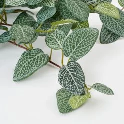 Mica Decorations Fittonia Kunst Hangplant - L15 X B20 X H54 Cm - Groen 6 Mica Decorations Fittonia Kunst Hangplant - L15 X B20 X H54 Cm - Groen -Home Decoration Store 1000076952 0102