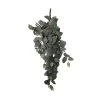 Mica Decorations Fittonia Kunst Hangplant - L15 X B20 X H54 Cm - Groen
