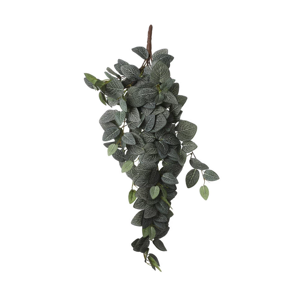 Mica Decorations Fittonia Kunst Hangplant - L15 X B20 X H54 Cm - Groen 1 Mica Decorations Fittonia Kunst Hangplant - L15 X B20 X H54 Cm - Groen