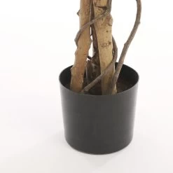 Mica Decorations Ficus Kunstplant - H180 X Ø90 Cm - Groen Bont 6 Mica Decorations Ficus Kunstplant - H180 X Ø90 Cm - Groen Bont -Home Decoration Store 1000076954 0102