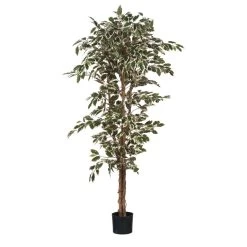 Mica Decorations Ficus Kunstplant - H180 X Ø90 Cm - Groen Bont