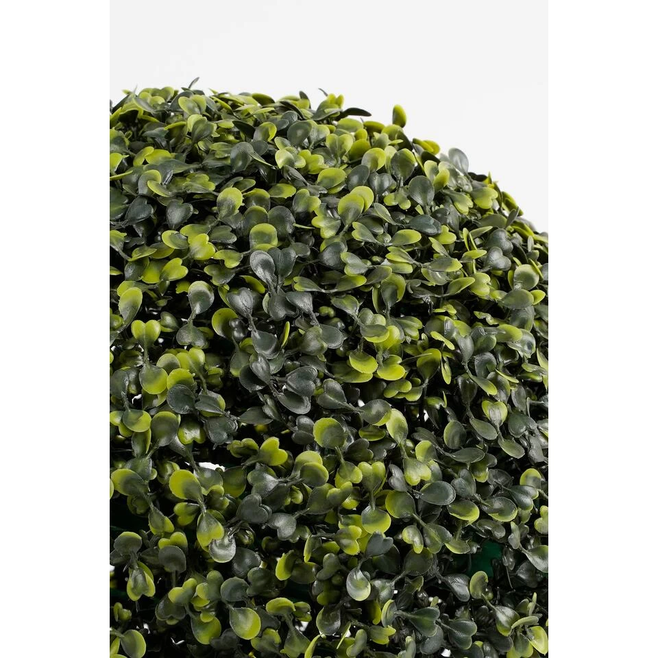 Mica Decorations Buxus Bol Kunstplant Voor Buiten - Ø28 Cm - Groen 2 Mica Decorations Buxus Bol Kunstplant Voor Buiten - Ø28 Cm - Groen - Afbeelding 2